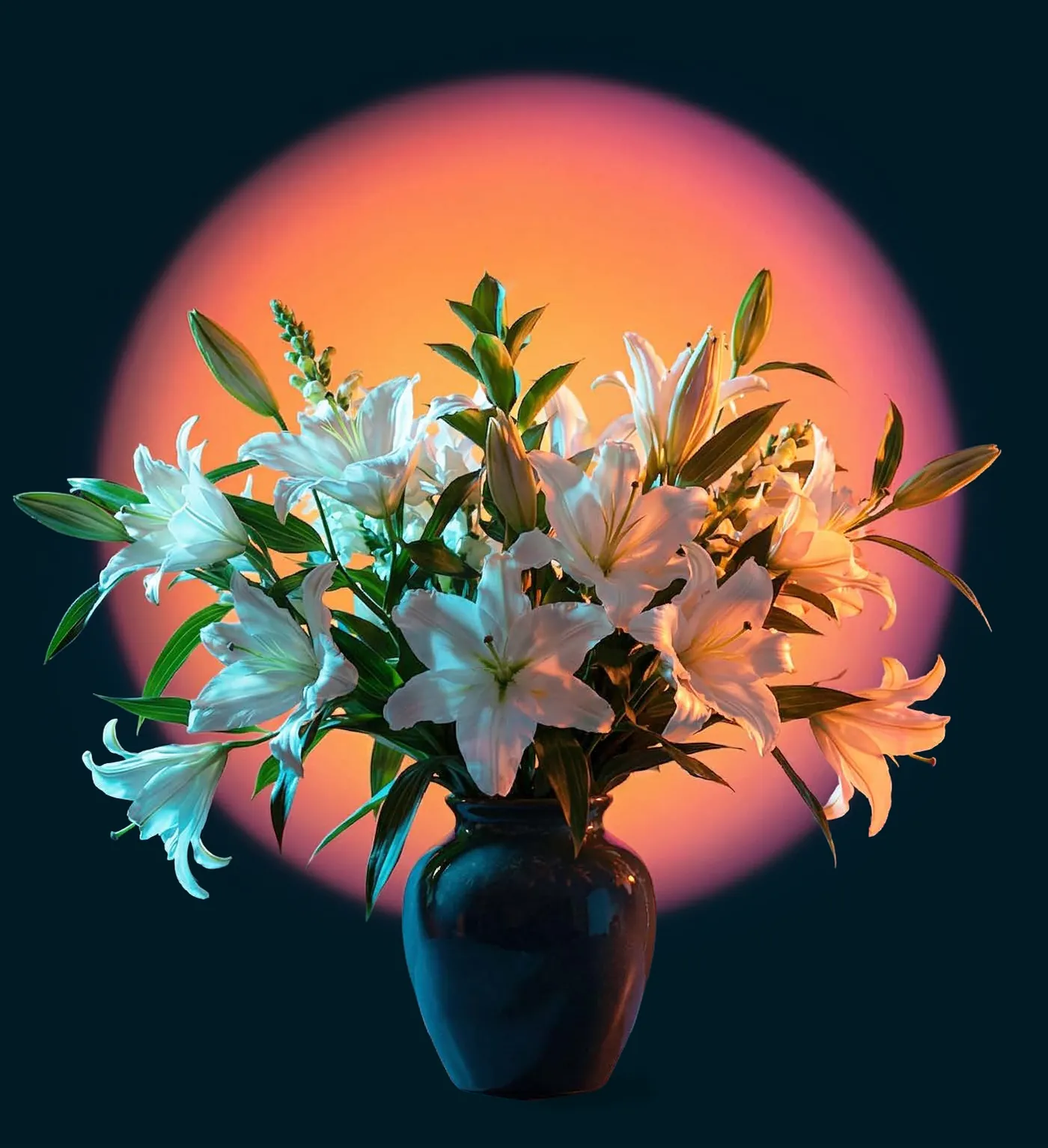White lilies glowing against a sunset backdrop